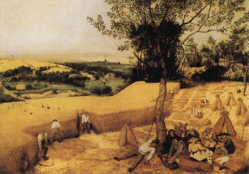 BRUEGHEL, Pieter the Younger The Corn Harvest oil painting picture